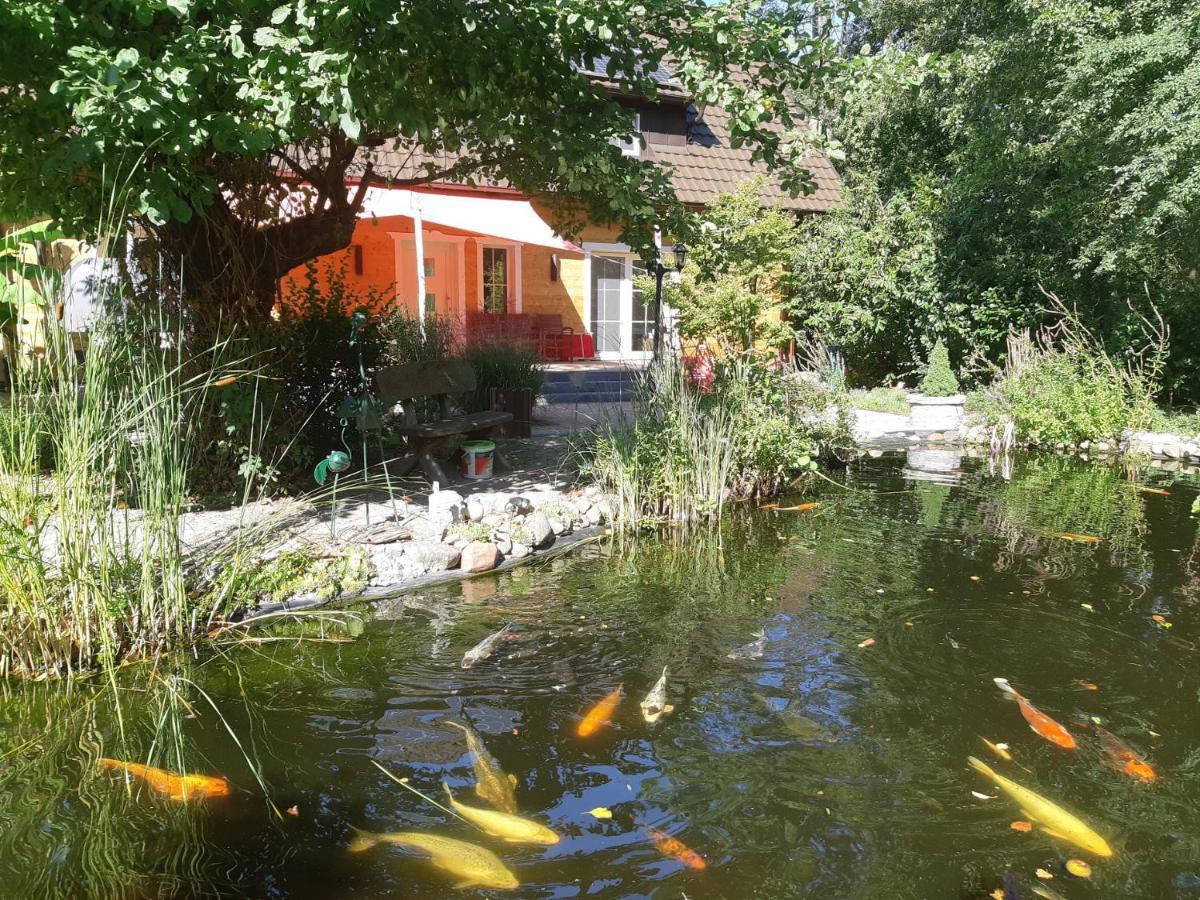 Salus Spreewald - Erholung & Natur - Kolonie  Buitenkant foto